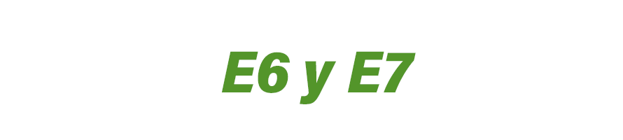  E6 y E7