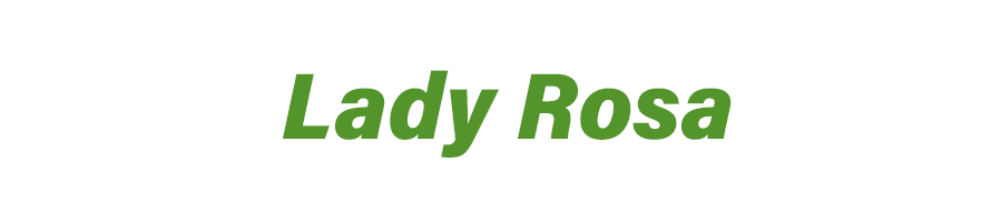 Bolas de golf recuperadas Precept Lady rosa | TUBOLA.COM