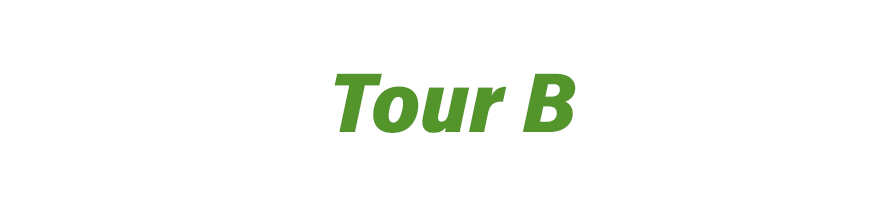 Bridgestone Tour B, la pelota de golf de 4 capas