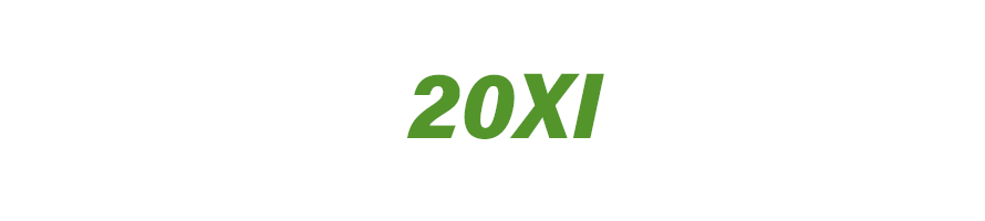 20XI