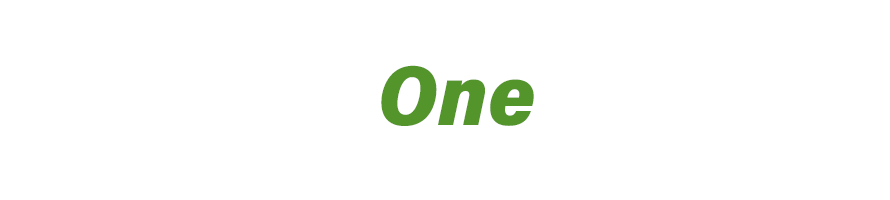 Nike ONE bolas de golf recuperadas y usadas - TUBOLA